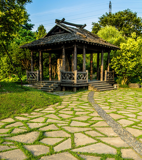 Creating Serenity: The Art of Designing a Tranquil Outdoor Zen Garden
